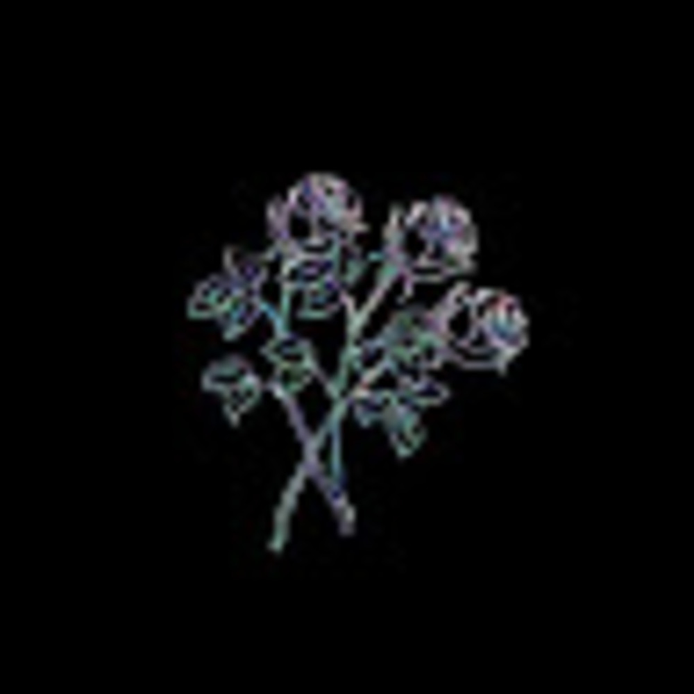 Meet your Posher, Lorelai